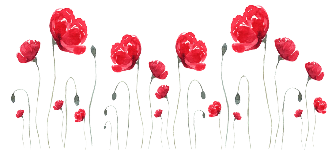 coquelicot-ligne